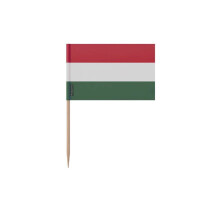 Palitos de dente Bandeira da Hungria - 6.5 cm - 100 peças - Plástico adesivo - Bastão de bambu - Pixelforma