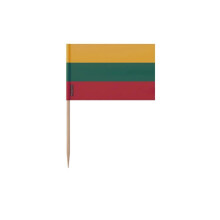 Palitos de dente Bandeira da Lituânia - 6.5 cm - 100 peças - Plástico adesivo - Bastão de bambu - Pixelforma