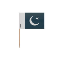 Haringprikkers Vlag van Pakistan - 6.5 cm - 100 stuks - Hechplastiek - Bamboestok - Pixelforma