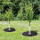 NonWoven Tree Mulch Ring Weed Control Mat, Moisture Retention, 10 Pack 32cm Round Cover 4