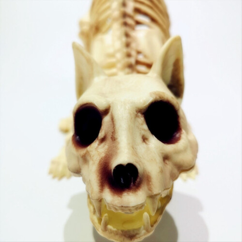 Halloween Scary Decoration Crouching Cat Skull Mod 2