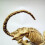 Halloween Scary Decoration Crouching Cat Skull Mod 4