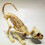 Halloween Scary Decoration Crouching Cat Skull Mod 2