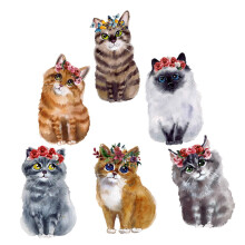 Collision Window Film 6 Pack Bird Collision Window Stickers For Windows Static Cling Removable Garden Decoration