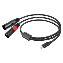 Cavo Audio Stereo Amplificatore USB Tipo C Maschio A 2 XLR Maschio 32 Bit/384 KHz per Smartphone e Laptop, 2 Metri