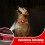 Adjustable Reflective Nylon Quick Release Buckle Tracker Holder Red Size S For Small Medium Large Dogs 3