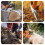 Barra de Guia de Serra de Corrente de 16 Polegadas com Correntes de 3 Unidades para  009 012 021 E180 MS180 MS190 MS250 7