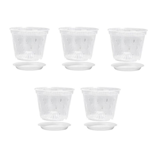 Vasos de OrquíDea - 7 Polegadas - 5 Potes e Pires, Potes de OrquíDea com Furos e Potes de PláStico Transparente para Repotting