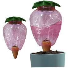 Self Watering Globes 500ml Strawberry Shape Automatic Plant Waterer for Indoor and Outdoor 2pcs