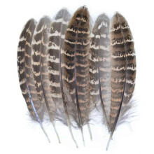 Natural Pheasant Feathers for DIY Crafts Jewelry Making Weddings Costumes MultiPurpose Decor