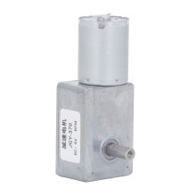 Moteur électrique DC 25kg.cm à double arbre, entraîneur à vis sans fin réversible de 12mm, 6V, 30RPM
