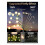 Solar Garden Lights 2 Pack,2 Lighting Modes Waterproof Firefly Light with Artificial Green Leave & Branches 3