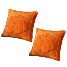 Herfstkussenhoezen 2-Pack Herfstbeige Pompoen Geborduurde Kussenhoezen Zachte Pluche Kunstleren Kussenhoezen B