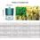 Bean Sprouts Machine with 3 Layers, Automatic Seed Sprouter for Home Growing with Auto Watering System 5