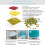 Bean Sprouts Machine with 3 Layers, Automatic Seed Sprouter for Home Growing with Auto Watering System 4