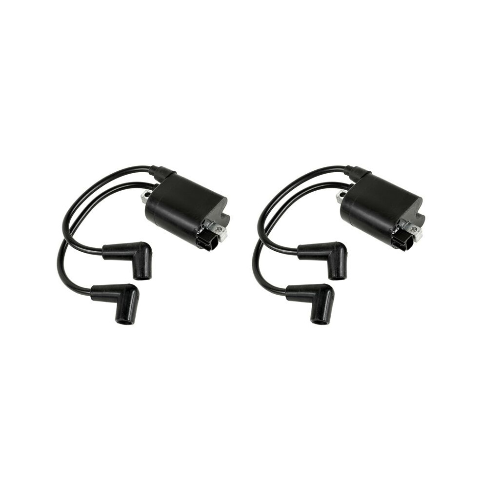 2X High Voltage Ignition Coil Module 72866G01 72866-G01 Epigc104 For Cart Ezgo Ez-Go E-Z-Go 2003- 6032215504558