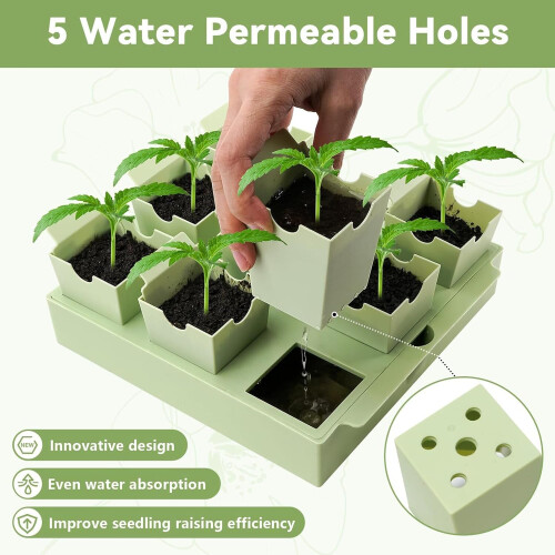 Seed Starter Trays with Drainage Holes, Reusable Stackable for Vegetables and Flowers 2