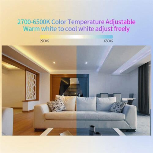 C01W Tuya Light Strip Controller & C02W 2.4G WIFI  Mobile APP  Controller Intelligent Voice Control A 2