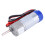 12 V DC-Bürsten-Encodermotor, 100 U/min, passend 8