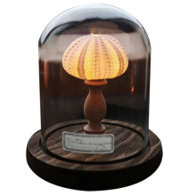 DIY Nachtlampje  LED Lamp Zachte Verlichting Flikkervrije Nachtkastlamp Nieuwigheid Woondecoratie Geweldig Cadeau-Idee Stijl:B