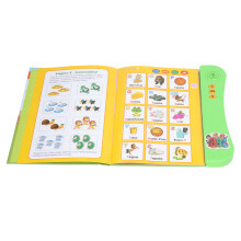 Eco-Friendly Spanish Sound Book for Kids, 25x22.5cm, Green