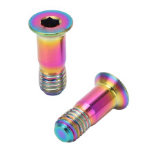 2Pcs M5x14.2mm Bike Screws for Rear Derailleur & Shifter Guide Roller