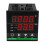 Digital Temperature and Humidity Controller For Incubation Granary Warehouse Use With Automatic Heating Dehumidification 1