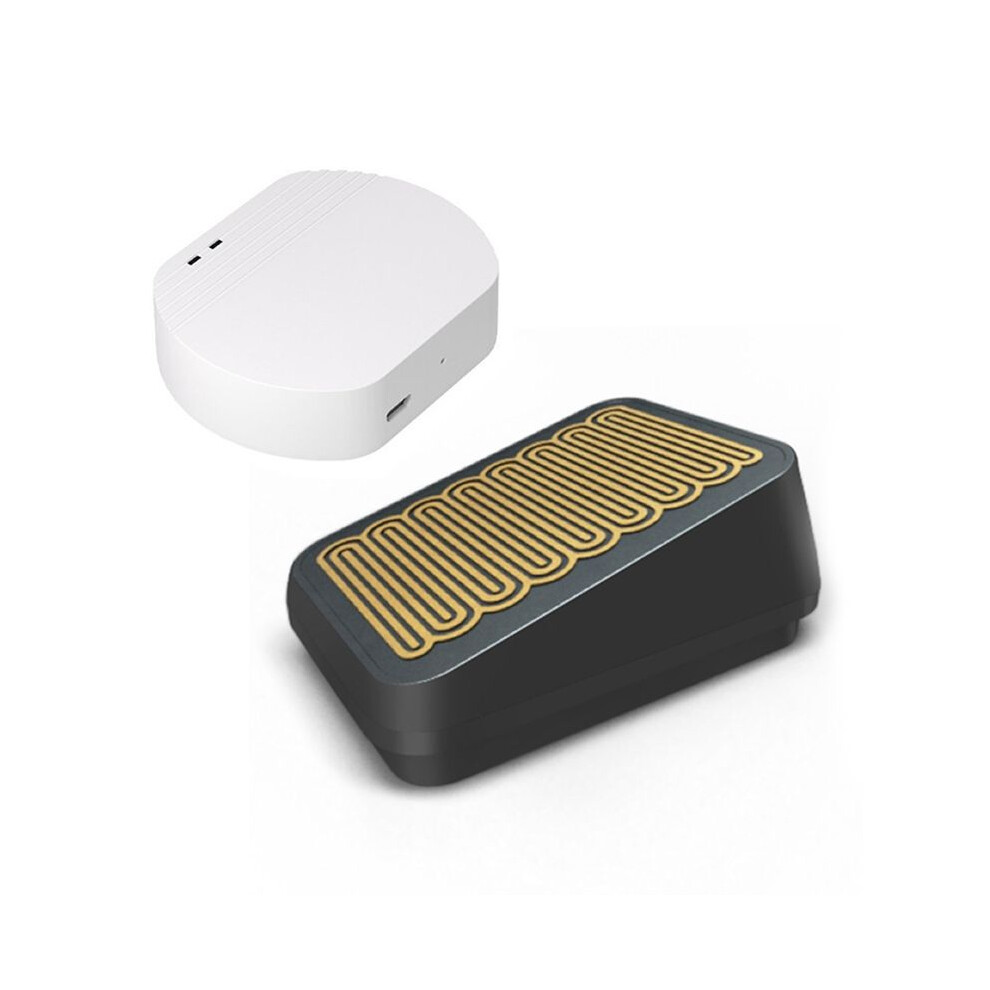 Ewelink Zigbee Rain Sensor With Gateway Wireless Outdoor Rain Detection Leak Sensor For Home Linkage Control 6031479424398