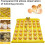 Egg Incubator 36 Egg Capacity Automatic Egg Turner Hatching Tray Poultry Hatcher For Chickens Ducks 3