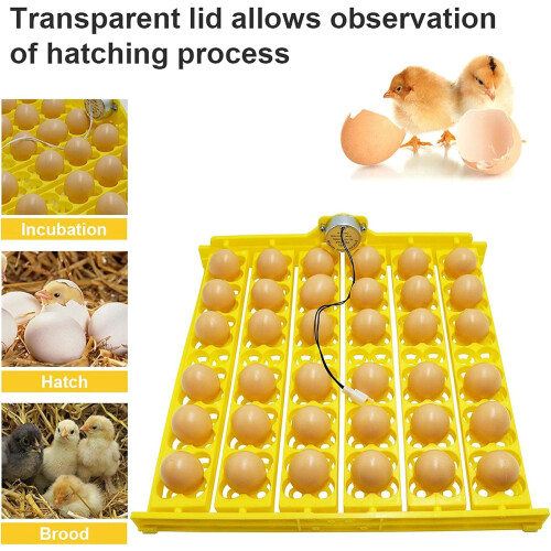Egg Incubator 36 Egg Capacity Automatic Egg Turner Hatching Tray Poultry Hatcher For Chickens Ducks 2