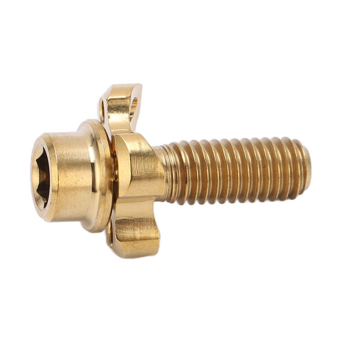 RISIKO Titaniumlegierung Frontschaltwerbe-Schraubdichtung – Gold, ca. 7g