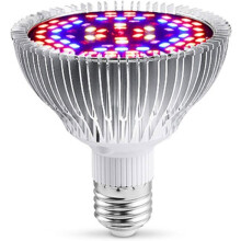 LED-Gartenbaulampe – nicht spezifiziert – Vollspektrum-Glühbirne – 30 W – E27 – 2000 lm