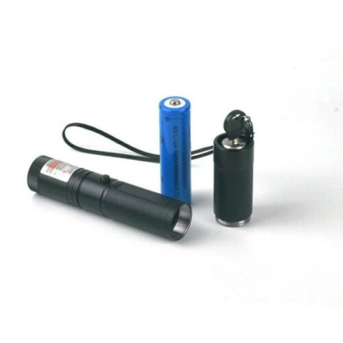 301 pro ultra powerful green laser pointer 1mw 532 + free 18650 battery pointer 1