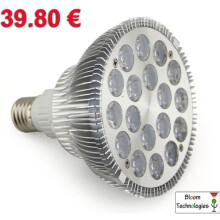 PhytoLED-Gartenbaubirne – Bloom-Technologies – 54 Watt – Rot und Blau – Hydrokultur – Innenbereich