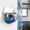 23cm Clear Acrylic Wall Hanging Aquarium 1