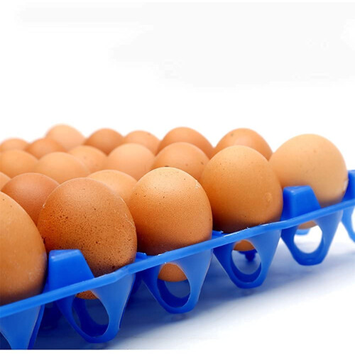 5PCS Blue Plastic Egg Storage Tray Holds 30 Eggs Each Stackable Space Saving Reusable Holder 1