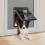 Pet Door - Unspecified - Large - Black - 12" x 16" - Indoor 3