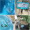 Pool Skimmer Net with Deep Mesh and Adjustable Telescopic Handle for Leaf and Debris Removal 3
