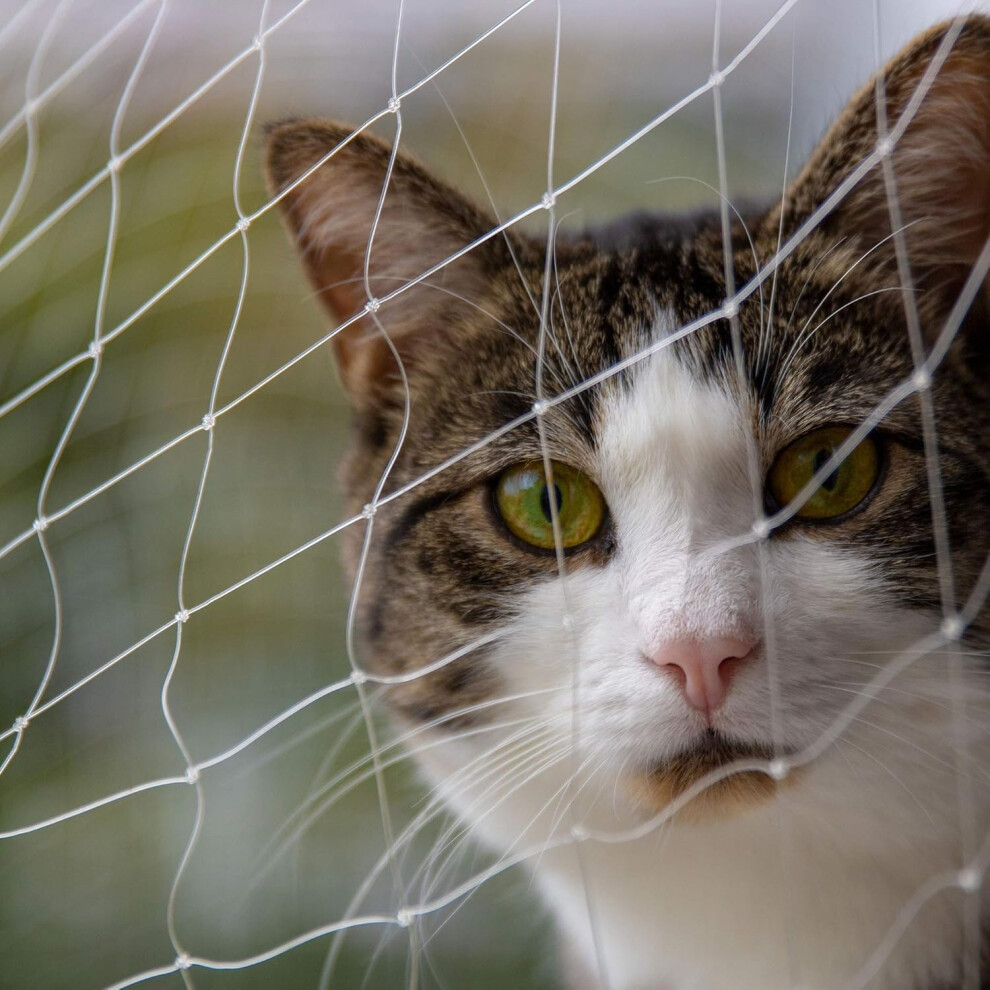 Cat Safety Net 4X3m Biteresistant Nylon Mesh For Balcony, Windows And Doors Uvprotected 9174973470885