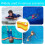 Legs For Pool Training Aid Eva De Lap Force Upper Yellow 3
