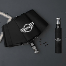 Parapluie coupe-vent MINIRain automatique 10 os avec logo - DD