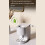 Automatic Toothpaste Dispenser with Smart Sensor, Rechargeable Wall Mount, Waterproof Hands Squeezer for Bathroom, White 3