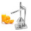 Press Fruit Manuel en Acier Inoxydable 304 de Qualité Alimentaire, Compact et Ergonomique 1