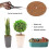 Coconut Mulch Mat 30cm 4Pack Coir Tree Ring for Weed Control and Moisture Retention 4