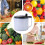 Large Capacity Salad Spinner and Vegetable Chopper with Quick Moisture Removal Easy Clean Design 3