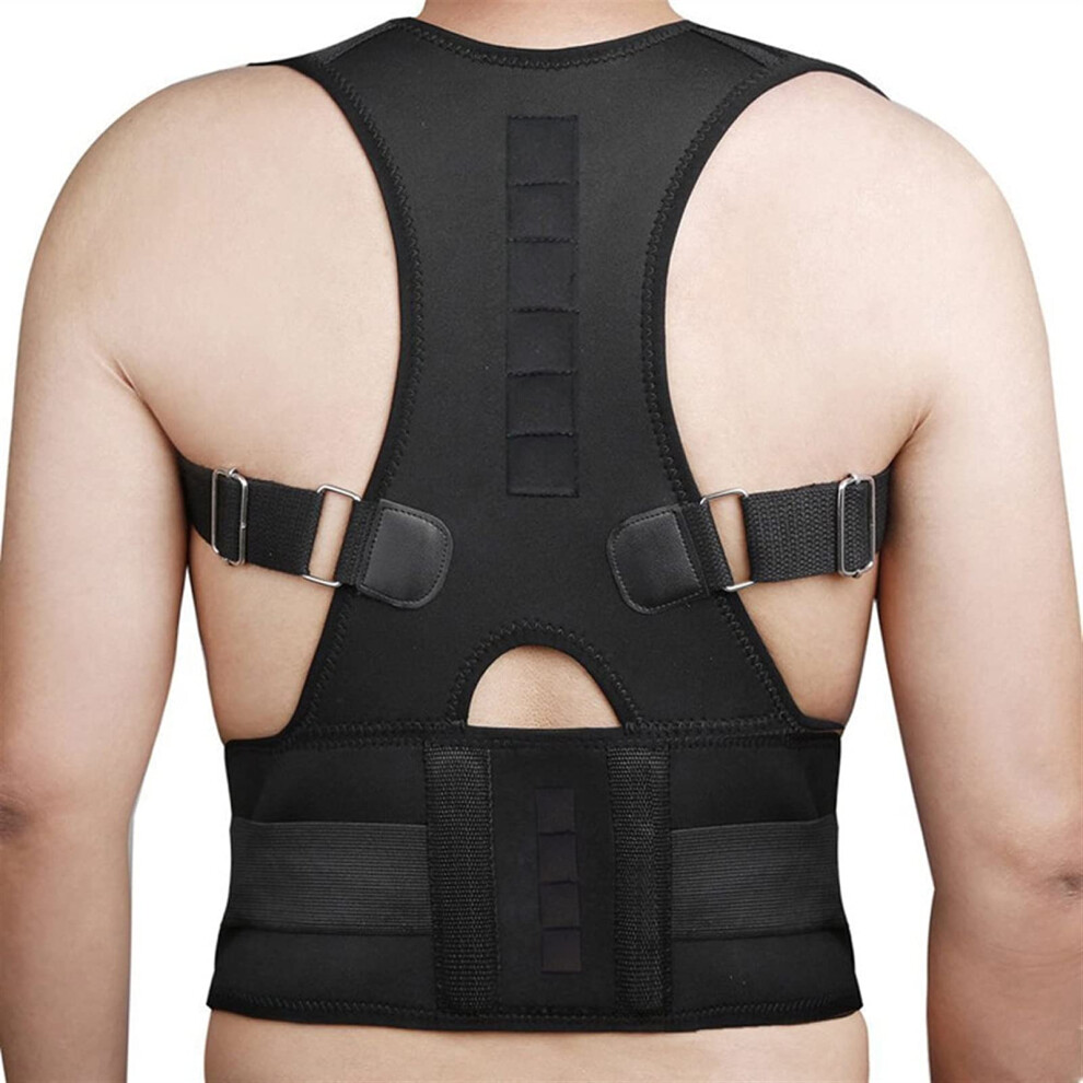 Back Support Belt XL for Sciatica and Herniated Disc Relief, Posture Corrector for Men and Women