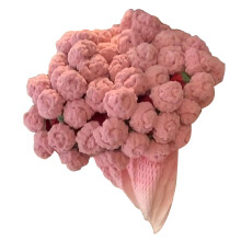 Crochet Kit for Beginners  Flower Instructions, Pink Bouquet Blanket For Adults Women Mom Home Decor Bed Throws