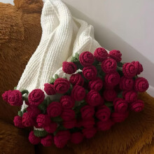 Beginner Crochet Kit Floral Blanket DIY Includes Hook and Pattern Learn Crochet Red Gift for Women Christmas/Birthday
