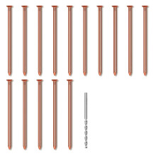 15Pcs Copper Nails for Killing Trees Stump Root, 3.14 Inch Long Pure Copper Nails with Drill, Stump Removal Spikes
