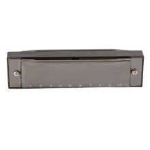 C Key 10-Hole Diatonic Harmonica Metal Mouth Organ for Beginners, Black